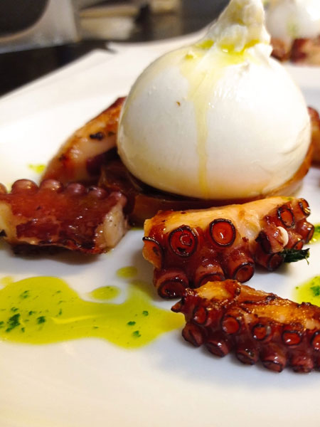 Dettaglio del polpo con burrata e salsa verde